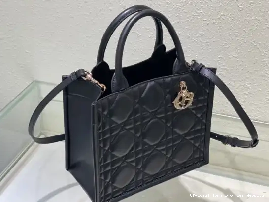Tony Luxuries SMALL diro TOTE-26.5*21*14CM BOOK 0704